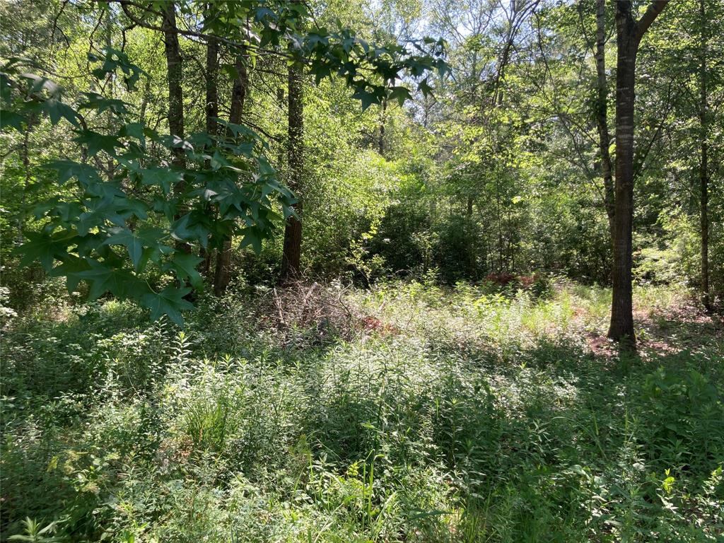 Lee Drive, Cleveland, Texas image 6
