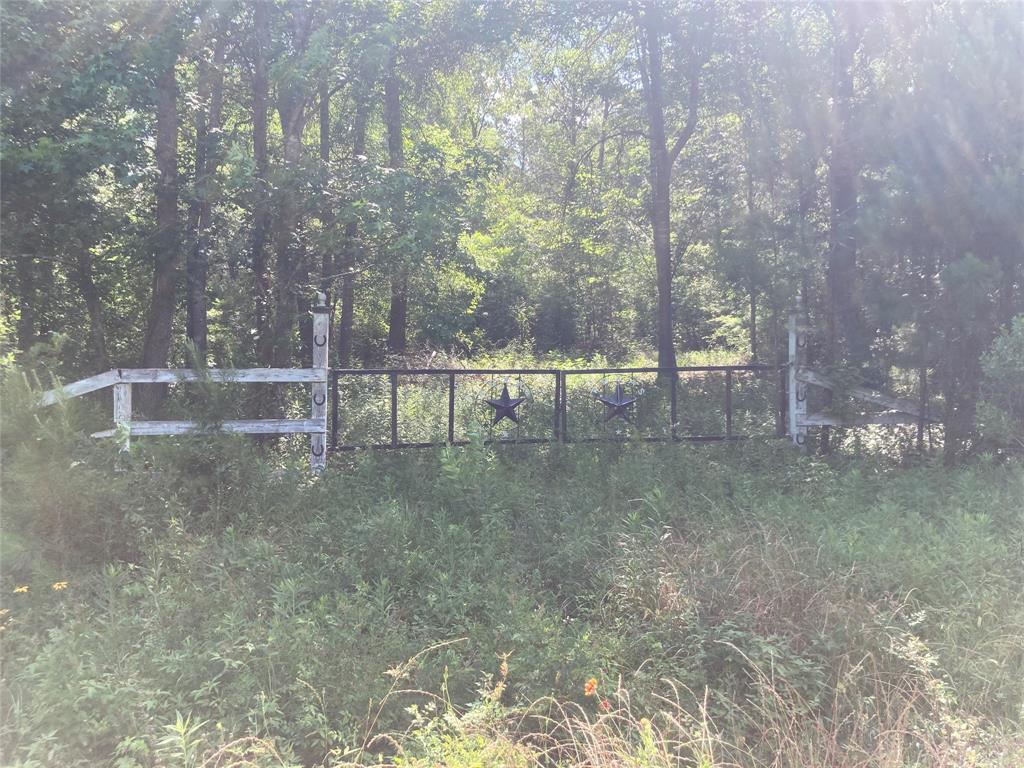 Lee Drive, Cleveland, Texas image 2