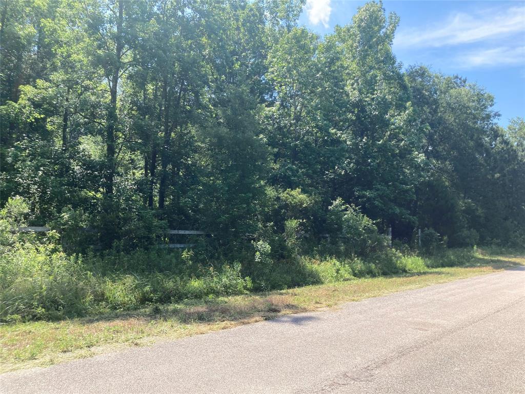 Lee Drive, Cleveland, Texas image 5