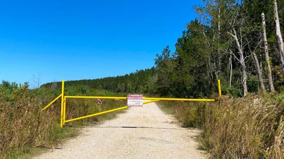 0000000000 N Gate Road,  North Of Highway 90, Daisetta, Texas image 3