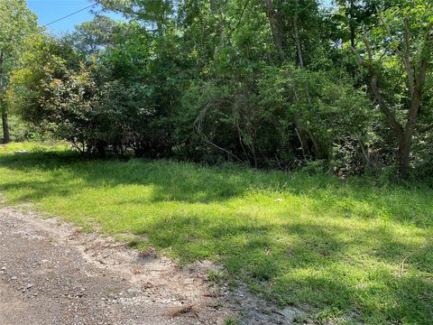 Photo of 366 Rain Forest Road, Onalaska, TX 77360 (MLS # 81459319)