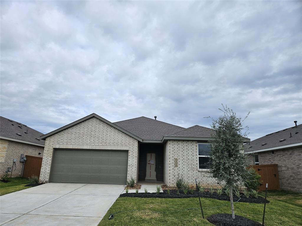 1211 Shady Pines Drive, Beasley, Texas image 2