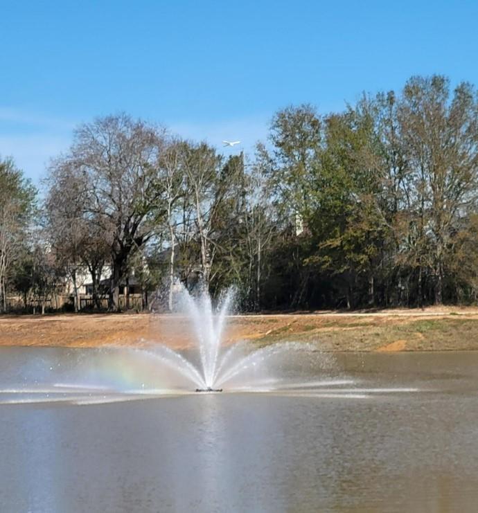 21450 Petherton Drive, Tomball, Texas image 40