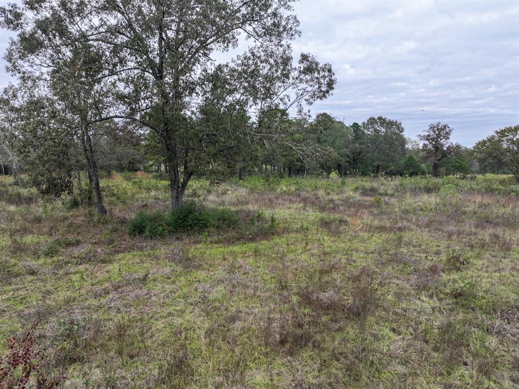 5 Off Fm 2251, Lufkin, Texas image 13