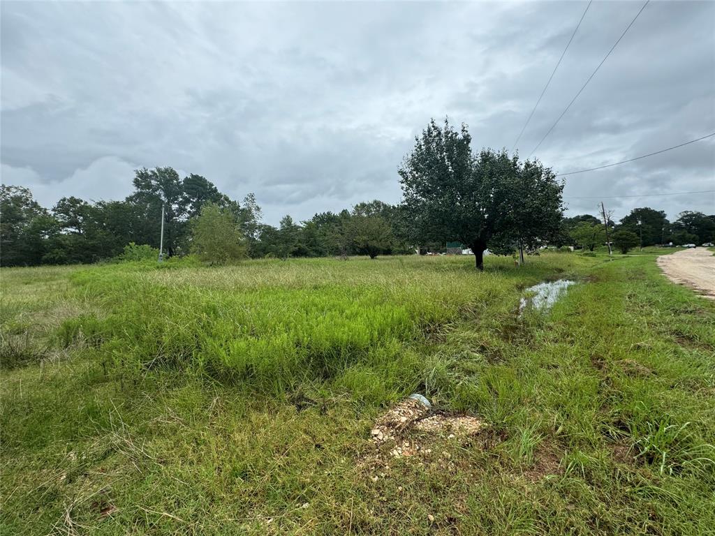 145 Garden Villas Drive, Onalaska, Texas image 4