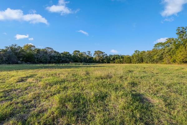 TBD Wendy Lane - Lot 18, Round Top, Texas image 5