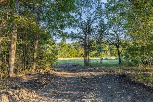 TBD Wendy Lane - Lot 18, Round Top, Texas image 6