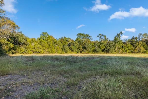 TBD Wendy Lane - Lot 18, Round Top, Texas image 4