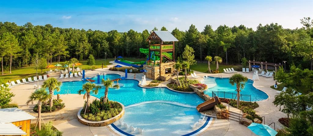 211 Clementine Court, Montgomery, Texas image 27