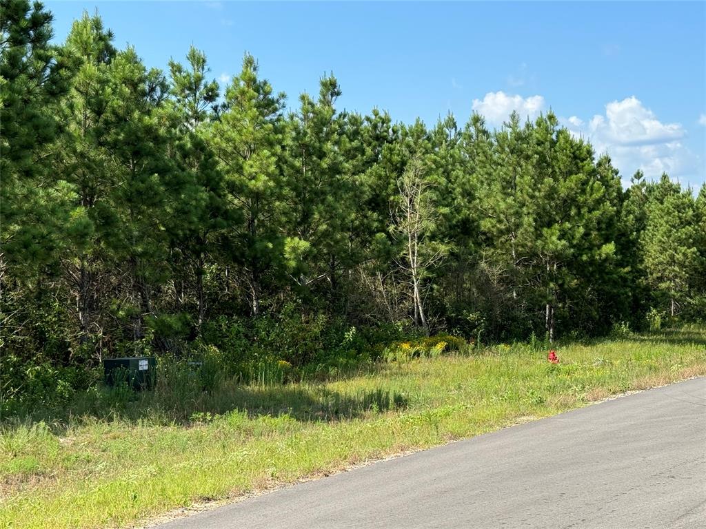 15721 Ridge Rock Road, Willis, Texas image 4