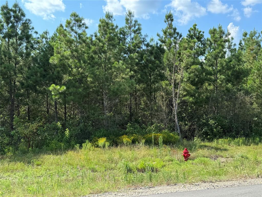 15721 Ridge Rock Road, Willis, Texas image 6