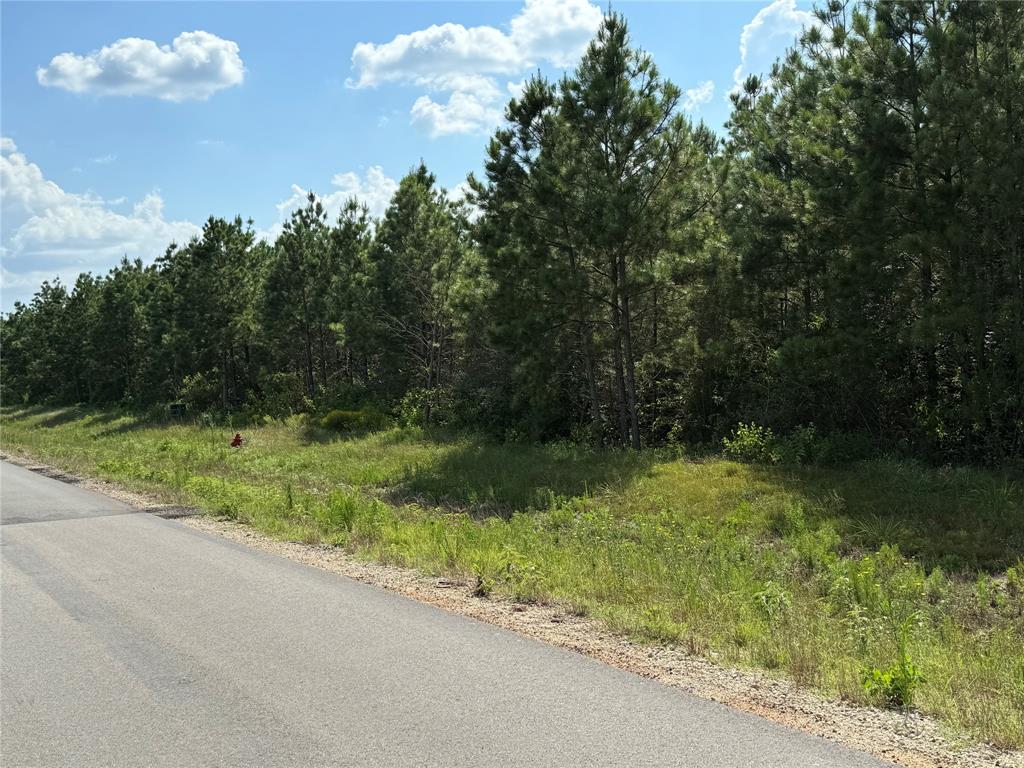 15721 Ridge Rock Road, Willis, Texas image 7