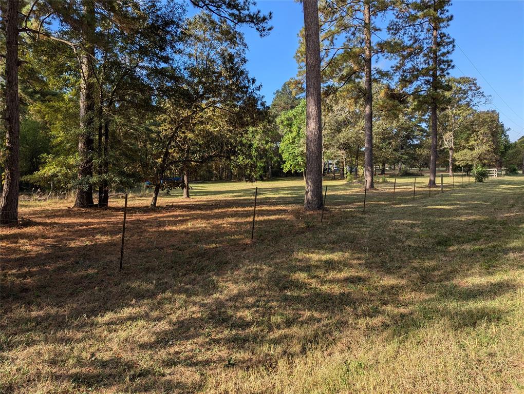 11302 County Road 351, Plantersville, Texas image 3