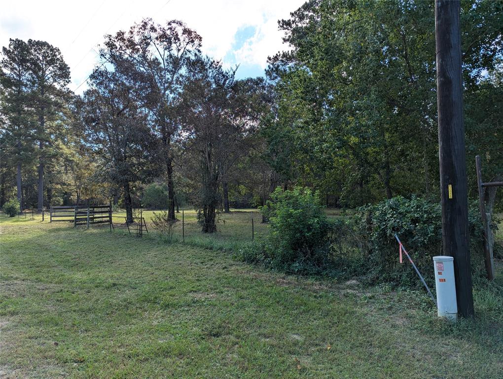 11302 County Road 351, Plantersville, Texas image 2