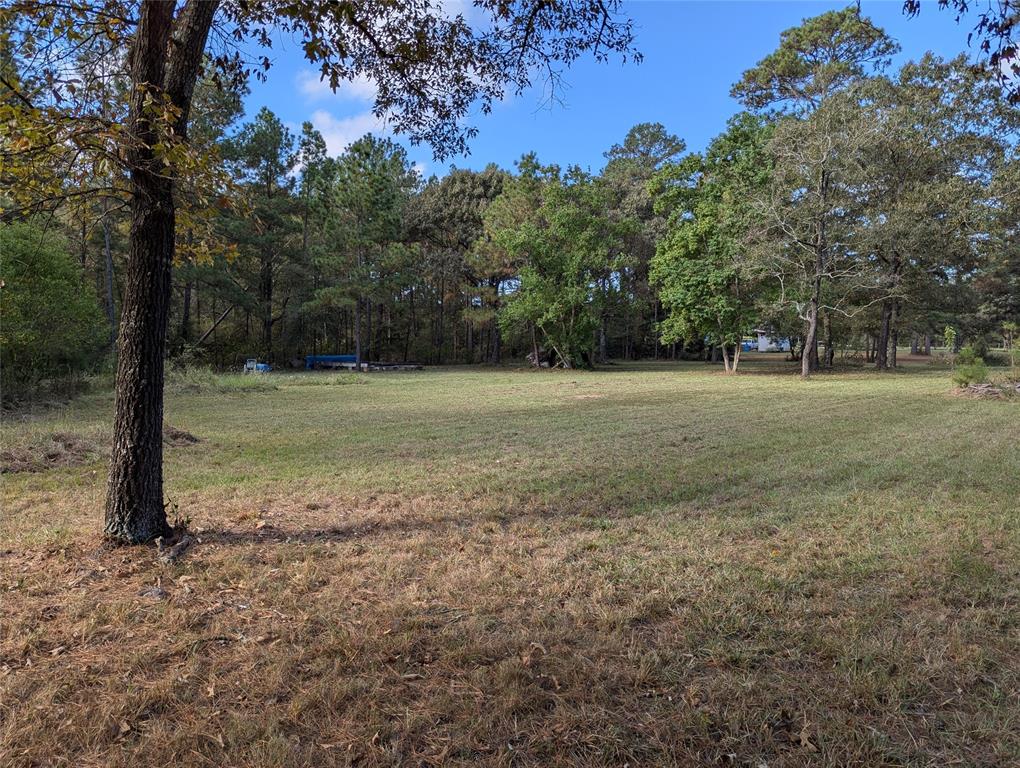 11302 County Road 351, Plantersville, Texas image 4