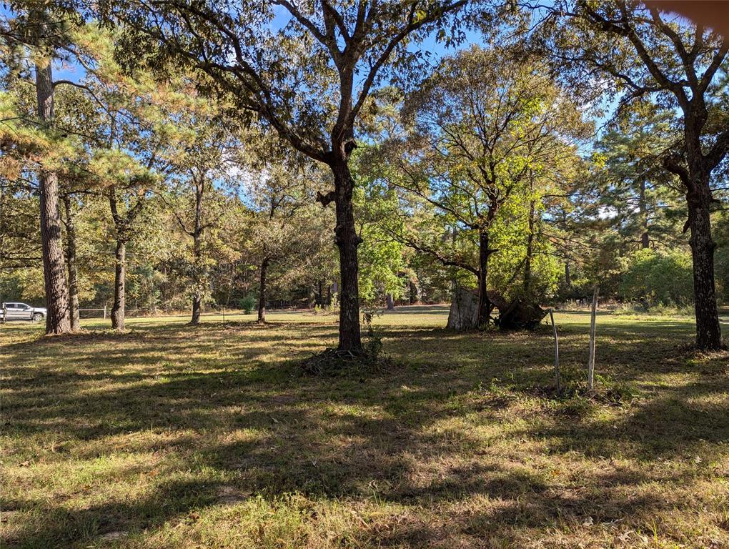 11302 County Road 351, Plantersville, Texas image 9