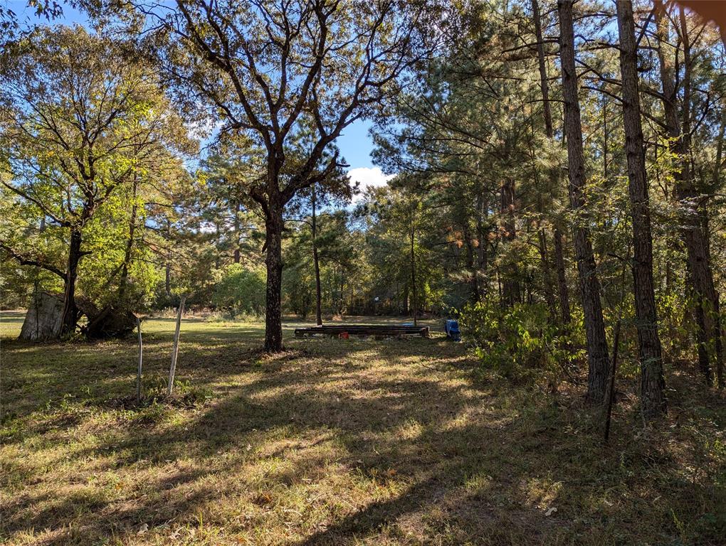 11302 County Road 351, Plantersville, Texas image 8