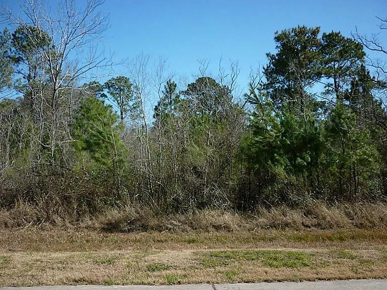 7311 Bayou Timbers Drive, Alvin, Texas image 1