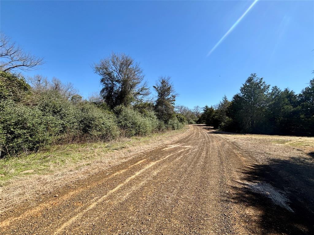 TBD Sycamore Branch Road, Normangee, Texas image 1