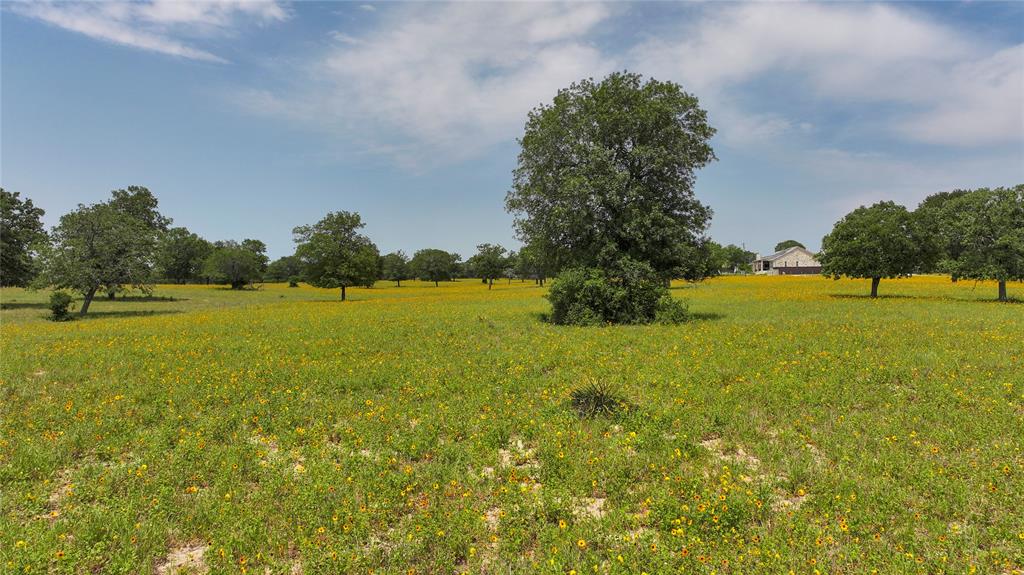 56 Powder Ridge, Luling, Texas image 9