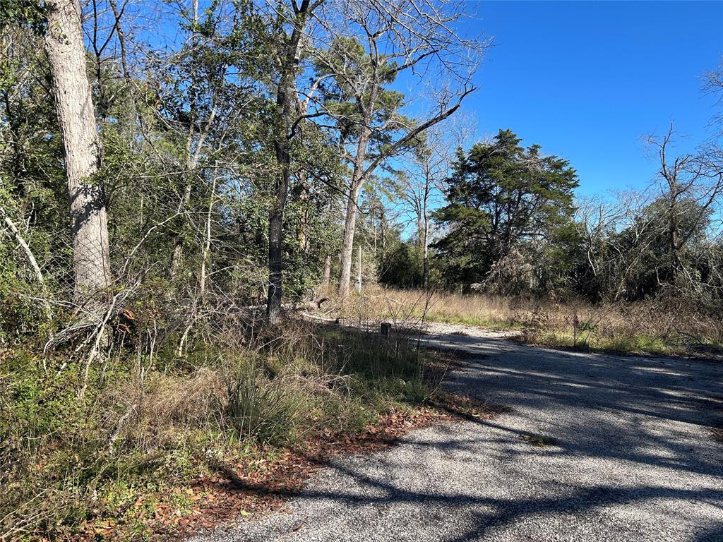 14942 Colt Lane, Willis, Texas image 6