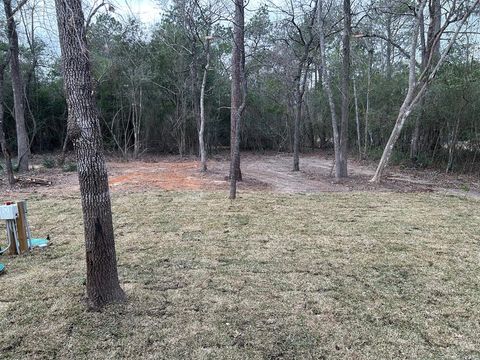 14942 Colt Lane Willis TX 77378