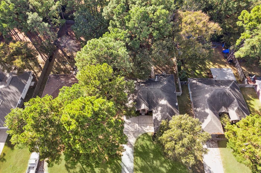 28819 Pine Forest Drive, Magnolia, Texas image 24
