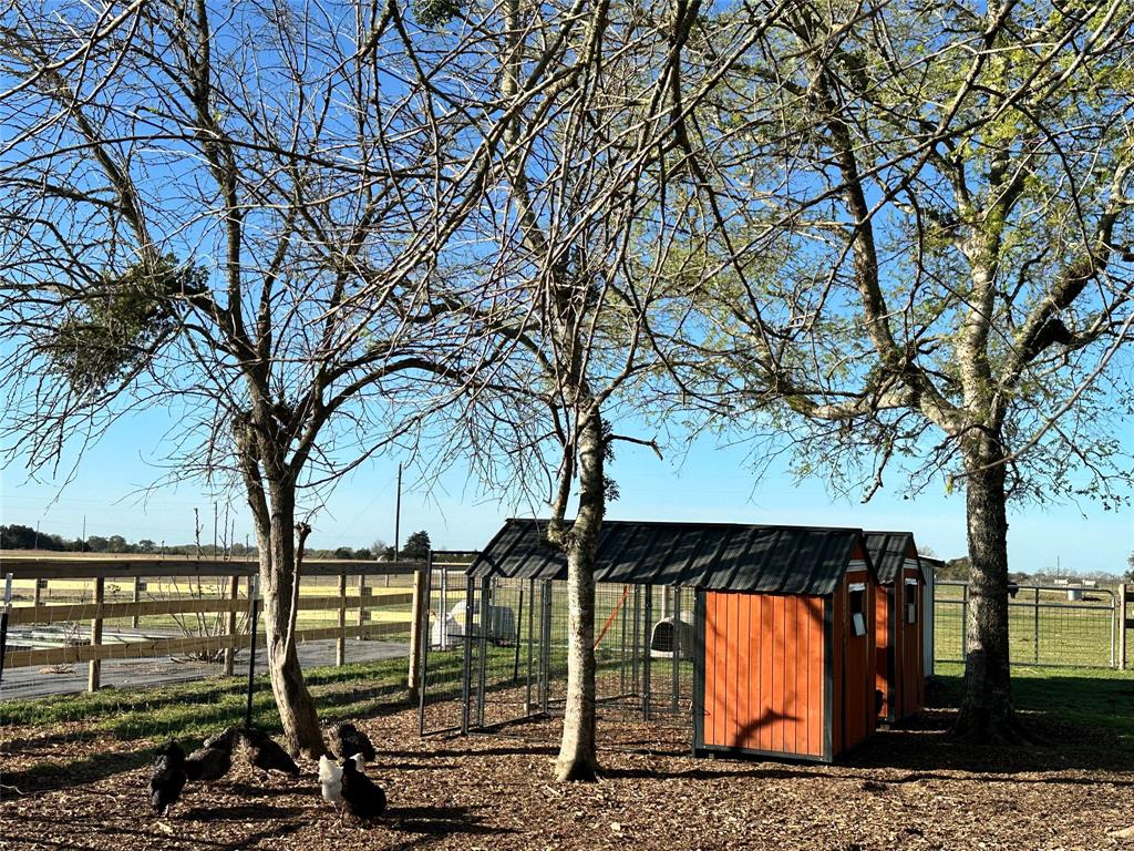 6300 Wied Road, La Grange, Texas image 49