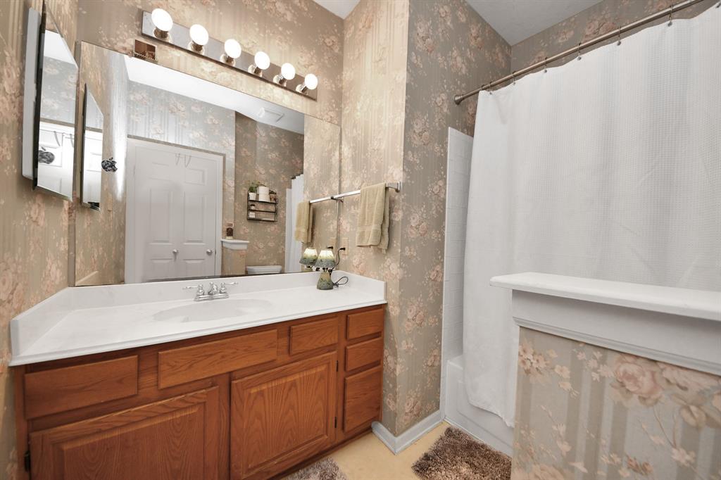 50 E Trillium Circle, The Woodlands, Texas image 23