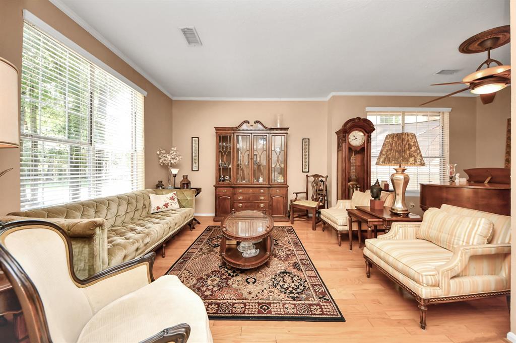 50 E Trillium Circle, The Woodlands, Texas image 6
