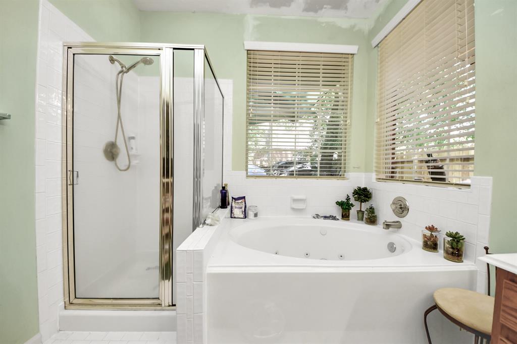 50 E Trillium Circle, The Woodlands, Texas image 19
