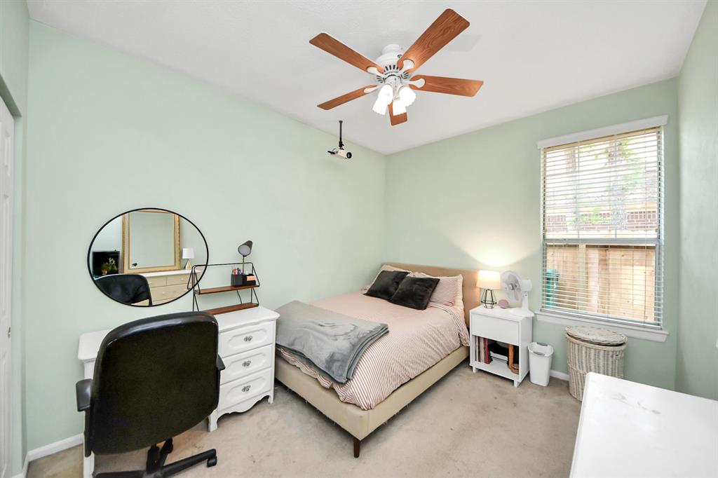 50 E Trillium Circle, The Woodlands, Texas image 22