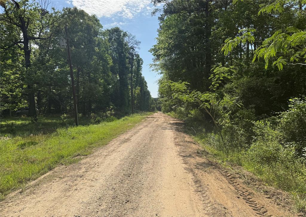 00 Holly Lane, Oakhurst, Texas image 4