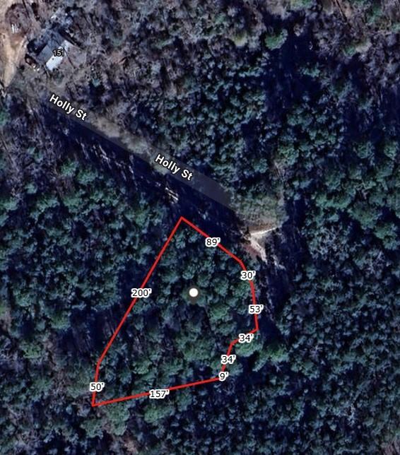 00 Holly Lane, Oakhurst, Texas image 3