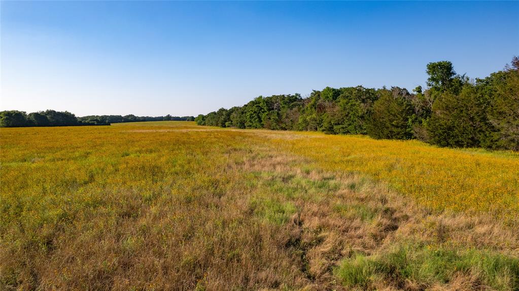 00 Fm 485, Cameron, Texas image 4