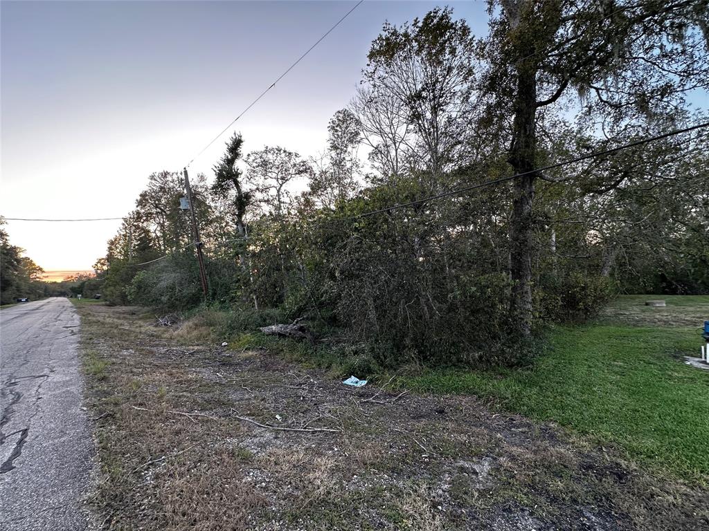 00 County Road 924 Drive, Sweeny, Texas image 5