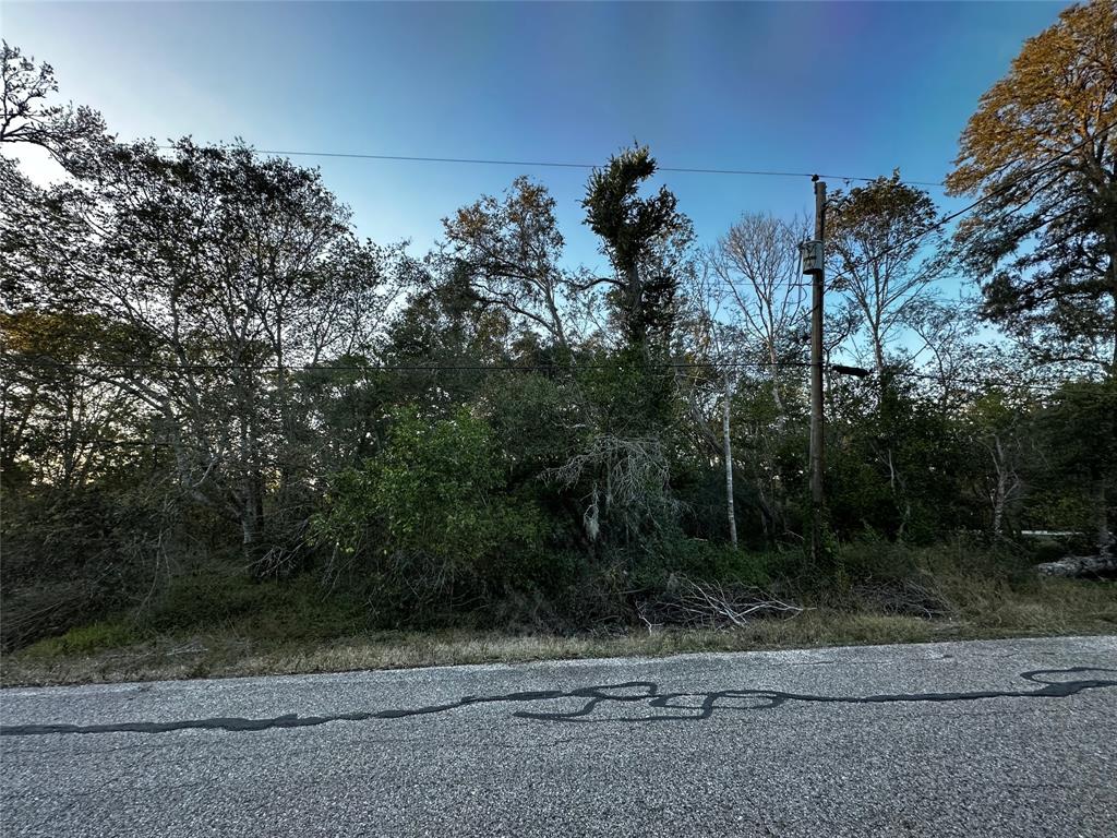 00 County Road 924 Drive, Sweeny, Texas image 1