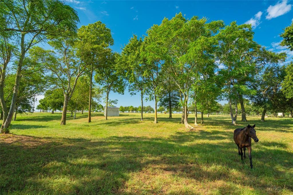 19204 Fm 359 Road, Hempstead, Texas image 8