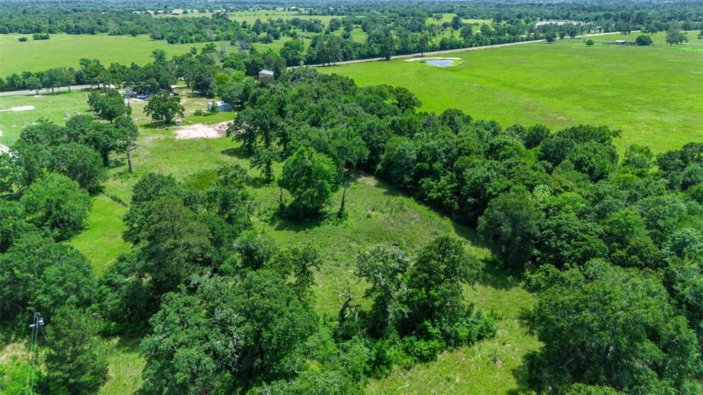 38 Fm 1696 Road, Huntsville, Texas image 44