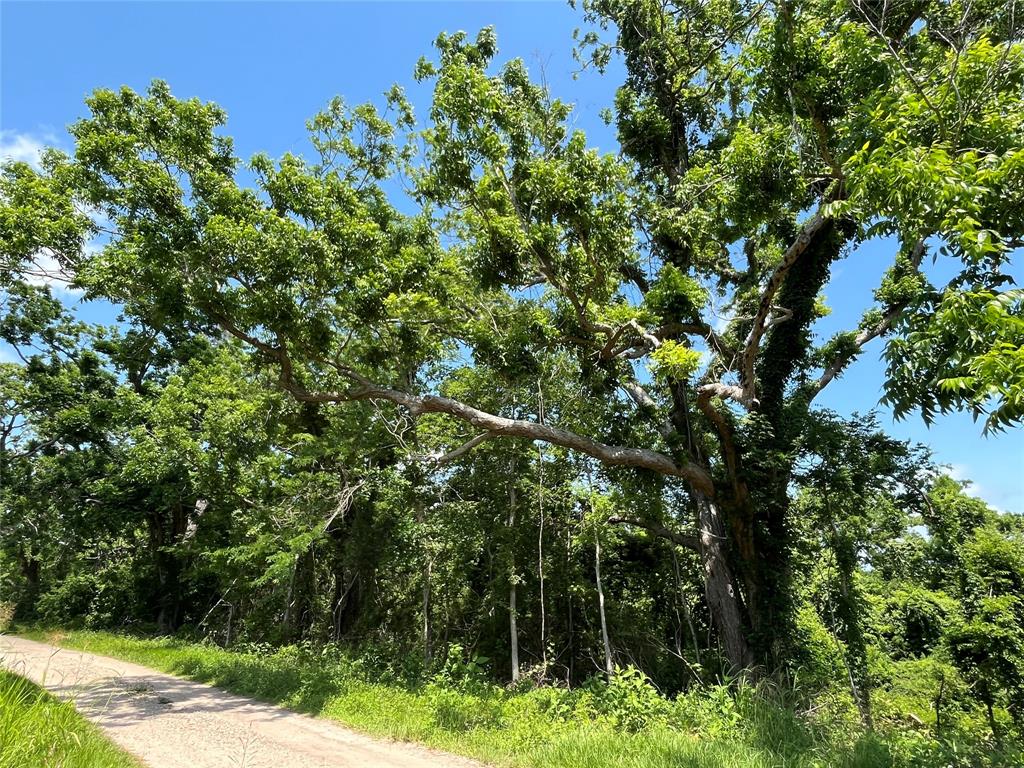 0 Oyster Creek Drive