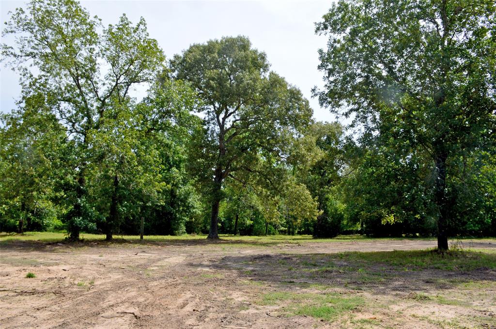 2182 Apache Drive, Montgomery, Texas image 28