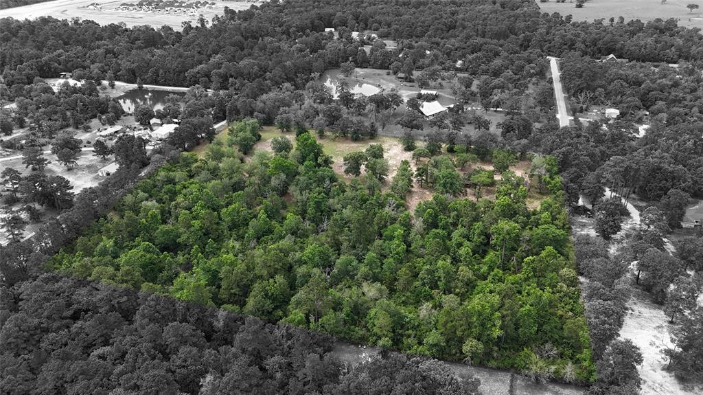2182 Apache Drive, Montgomery, Texas image 23