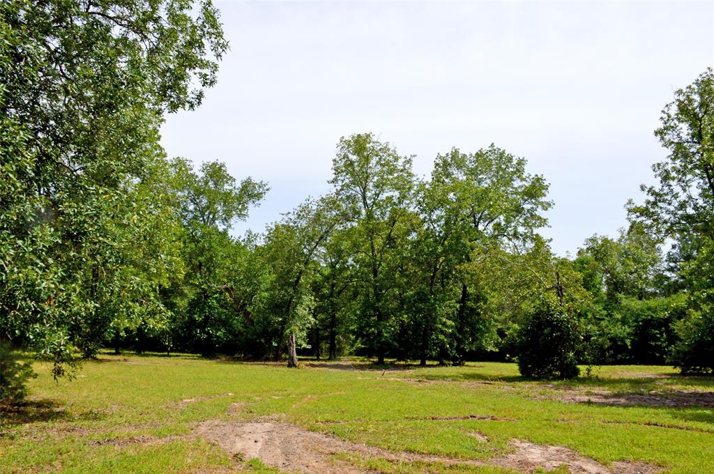 2182 Apache Drive, Montgomery, Texas image 19