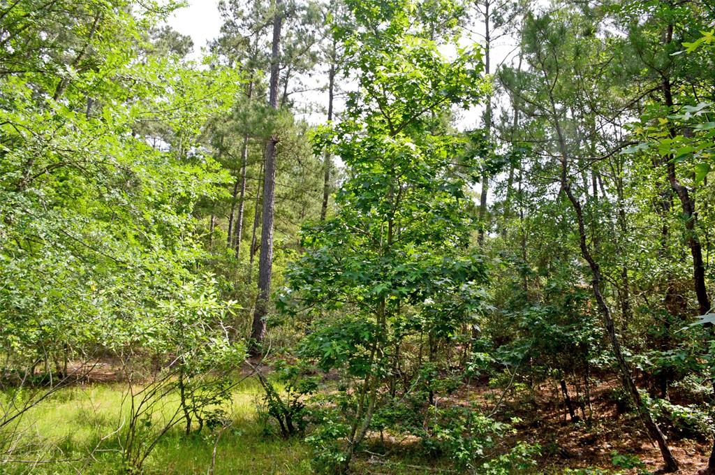 2182 Apache Drive, Montgomery, Texas image 25