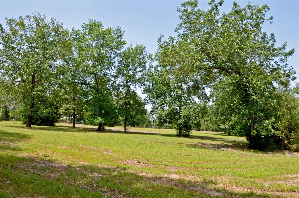 2182 Apache Drive, Montgomery, Texas image 4
