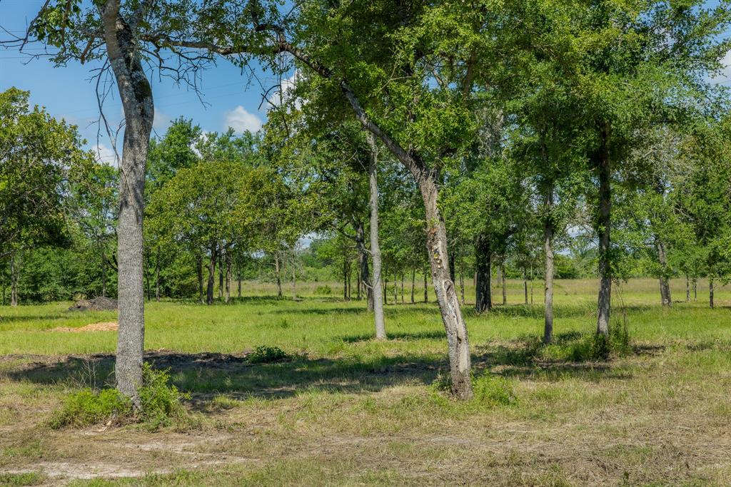6623 Atakapan Trail Trl, Bedias, Texas image 1