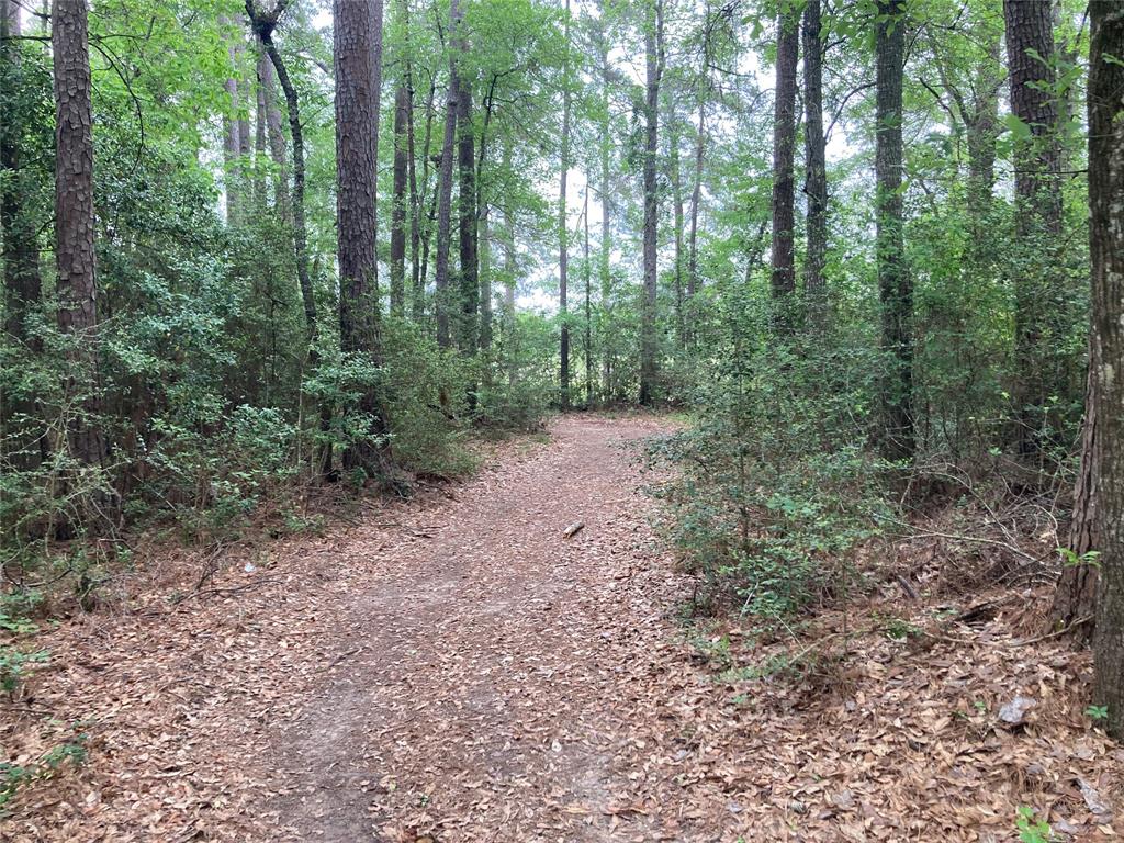 TBD Afton Way, Huffman, Texas image 11