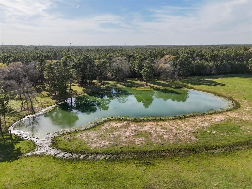 26250 Riley Road, Waller, Texas image 28