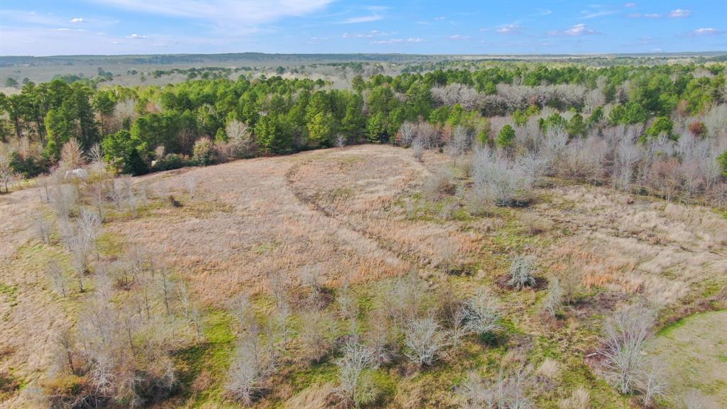 13115 Bethel Road, Montgomery, Texas image 14