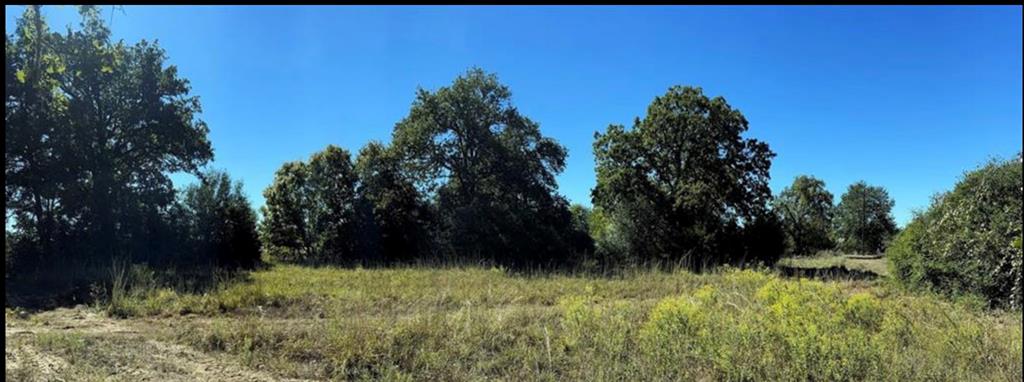 701 Maris Lane, Franklin, Texas image 8